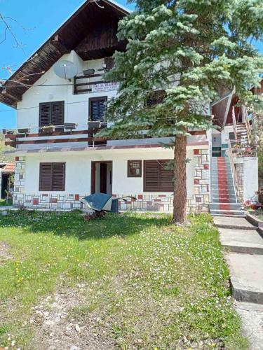 Hostal Nesovic