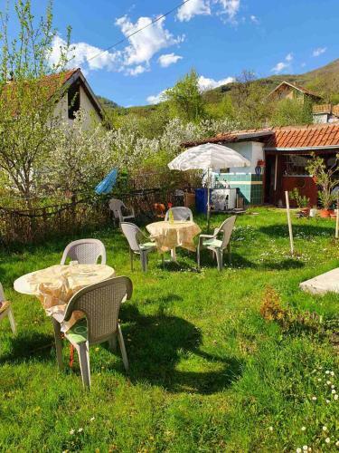 Hostal Nesovic