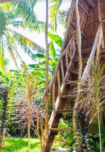 Albergue Aventura Siquijor