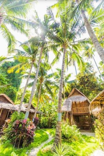 Albergue Aventura Siquijor