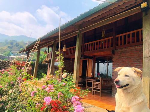 Agroturismo Sapa Natural Forest Farmstay
