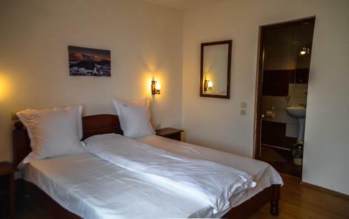 Hostal Pensiunea Poienita Ursului