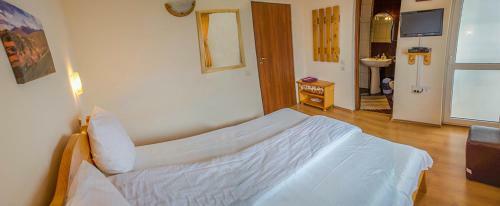 Hostal Pensiunea Poienita Ursului