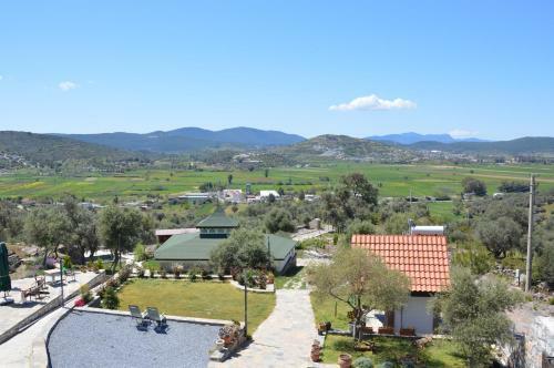 Agroturismo Olive Garden Retreat