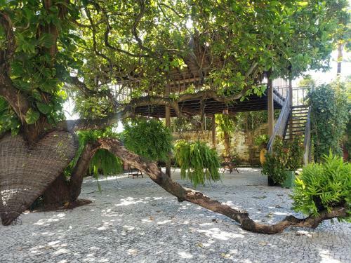 Hostal Pousada Cumbuco Green