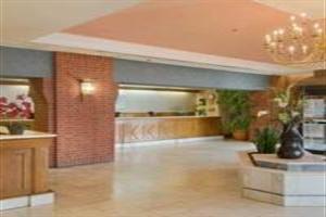 Hotel Hilton Saint John - Standard