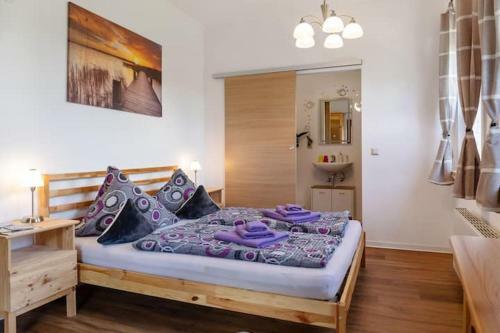 Vanek Apartment