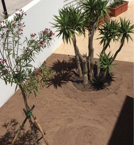 Apartamento Terrazza D'amare