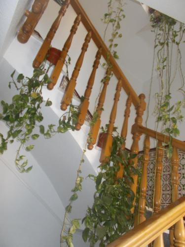 Hostal La Costa