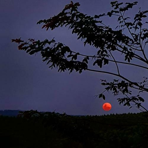 Portal Nossa Terra - Casa Na Ro�a Em S�o Thom�