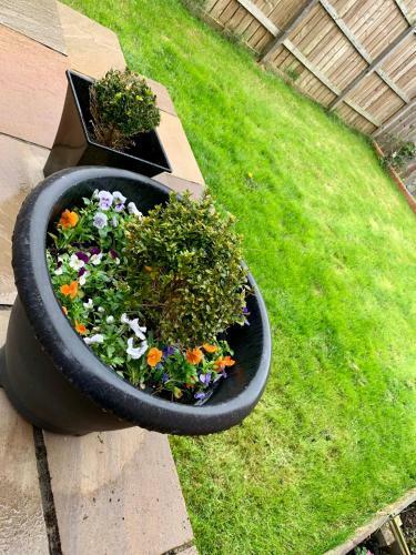 Tyne View