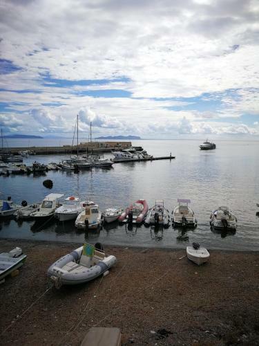 Apartamento Accogliente Appartamento A Marettimo A Pochi Passi Dal Mare