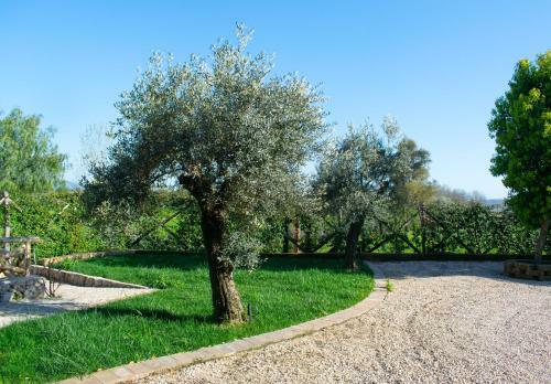 Apartamento Camera Gardenia - B&B Antico Casale