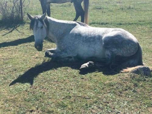 Preciosa Finca Privada 20 Hect�reas