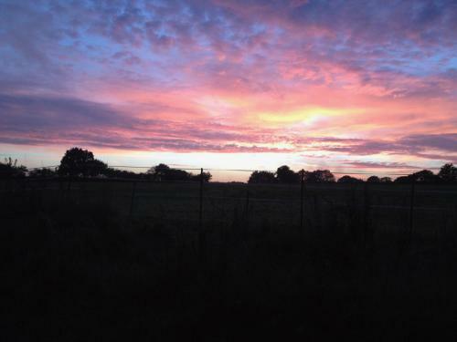 Apartamento Hoot Cottage - Our Romantic Norfolk Hideaway