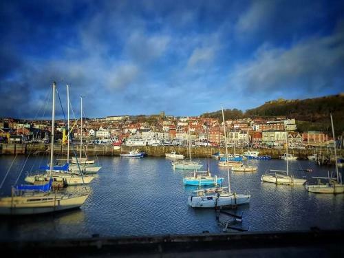 Haddock Hideaway By The Sea - Old Town Scarborough