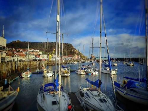Haddock Hideaway By The Sea - Old Town Scarborough
