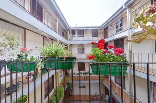 Apartamento Pleno Centro De Santander Y Sin Ruido Coches,6ps!