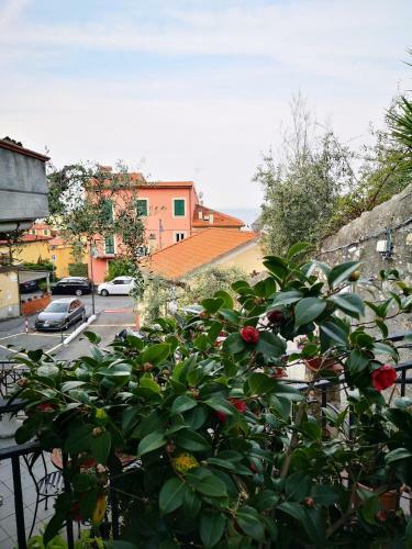 Apartamento Miramaretellaroapartment