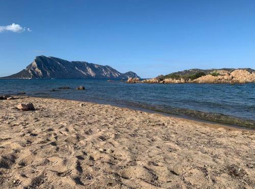 Villa Su Cuile, Cala Ginepro - Vista Mare