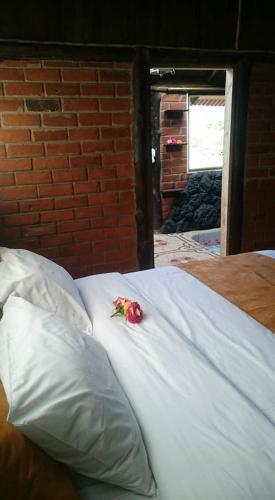 Lodge Hotel Orqu�deas Runtun
