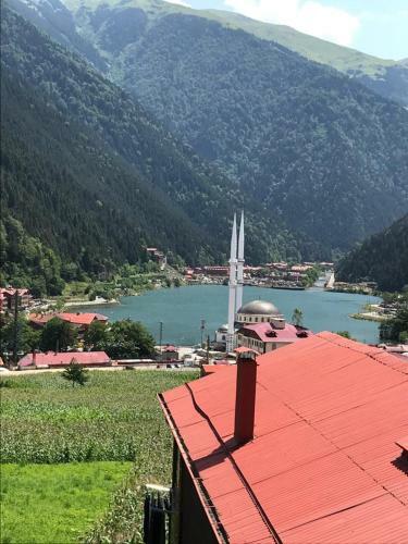 Kuzey Apart