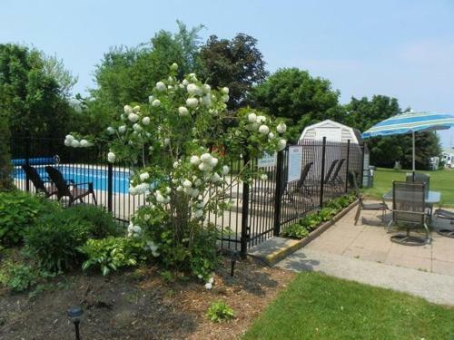 Lakeview Motel