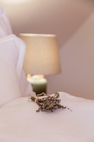 Lodge Winzer Appartements & H�user Kogler