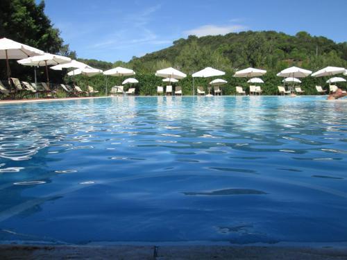 Agroturismo Fattoria La Steccaia