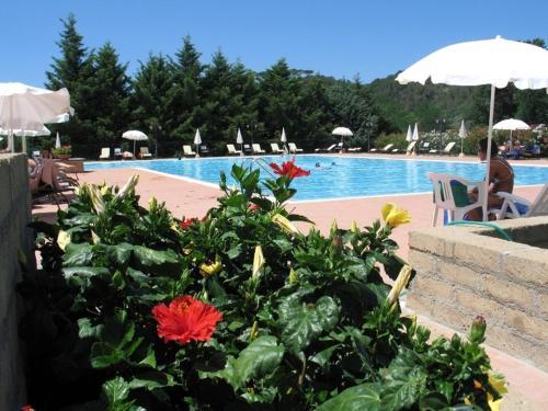 Agroturismo Fattoria La Steccaia