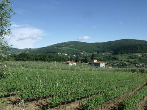 Agroturismo Agriturismo Il Viaio