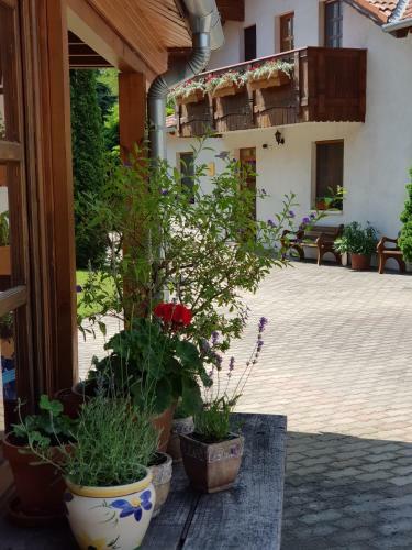 Hostal Sommer Panzi�