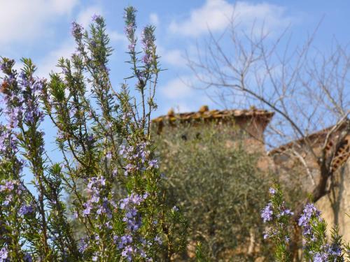 Apartamento Locazione Turistica Il Ginepro