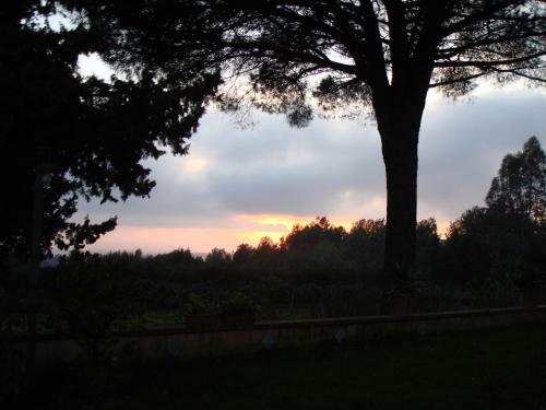 Bed & Breakfast Ai Cipressi