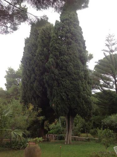 Bed & Breakfast Ai Cipressi