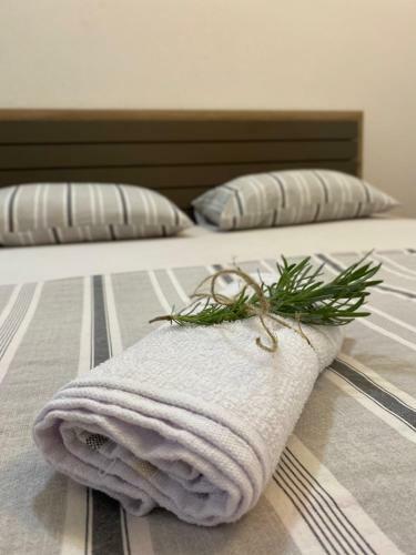 Apartamento Guest House Pocanic