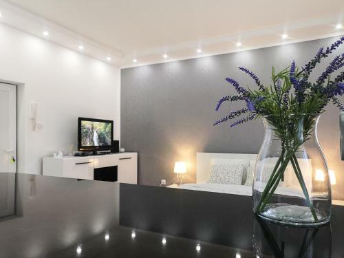 Apartamento Filin Home Stefanovica 4