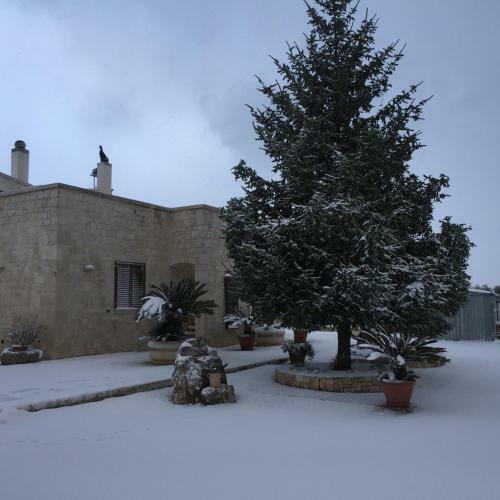 B&B Villa Grassi
