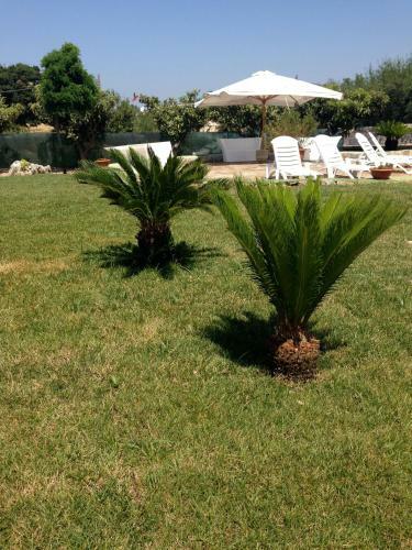 B&B Villa Grassi
