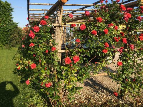 Agroturismo Corte Breda, Agriturismo Bed&breakfast