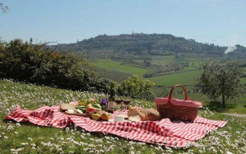 Agroturismo Fattoria La Loggia
