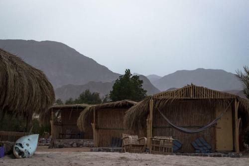 Hotel Ashry Oasis