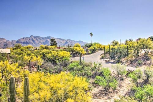 Exquisite House With Pool About 6 Mi To 4th Ave!