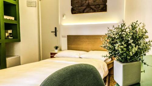 Apartamento Casa Manfredi