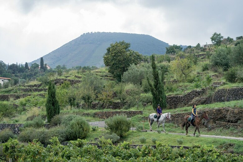 Agroturismo Monaci Delle Terre Nere