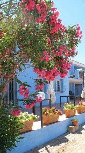 Bed & Breakfast Villa Pischinas