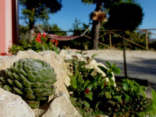 Agroturismo Agriturismo Casa Rosa