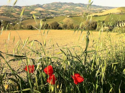 Agroturismo Agriturismo Casa Rosa