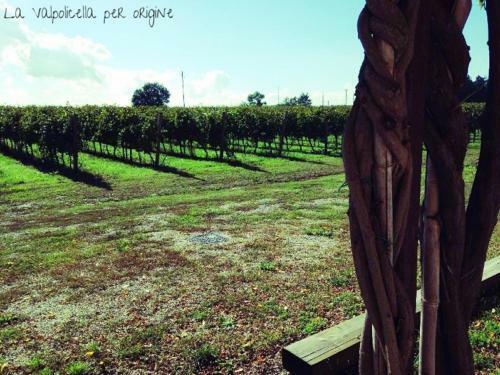 Agroturismo Dimora Del Bugiardo