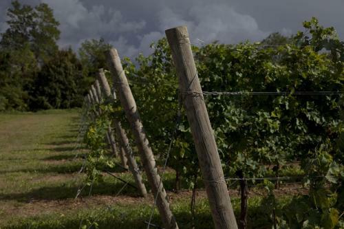 Agroturismo Dimora Del Bugiardo